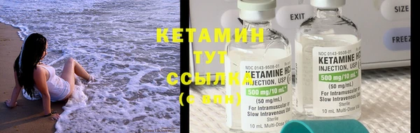 стаф Новозыбков