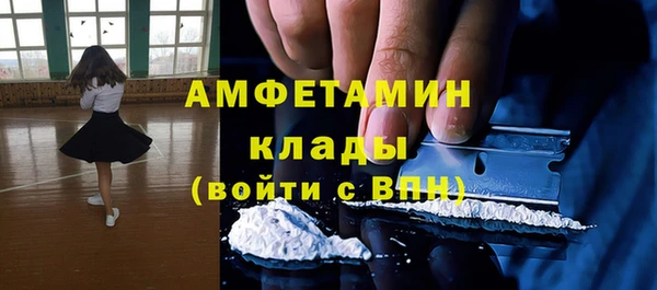 стаф Новозыбков