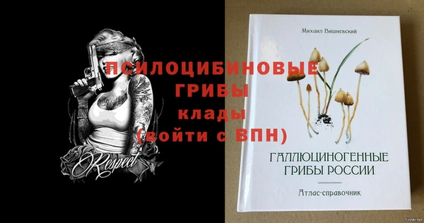 тгк Билибино