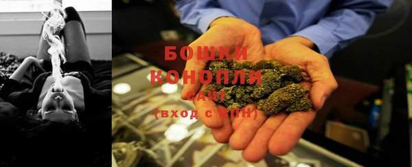 стаф Новозыбков