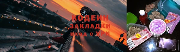 стаф Новозыбков