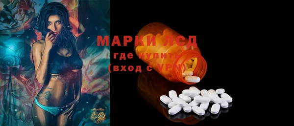 стаф Новозыбков