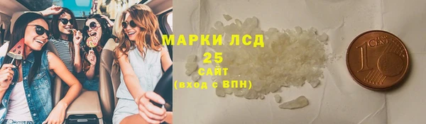 стаф Новозыбков