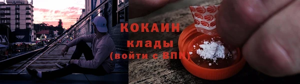 стаф Новозыбков