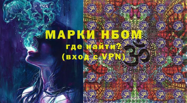 стаф Новозыбков