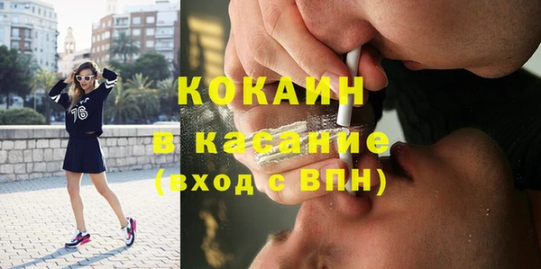 стаф Новозыбков