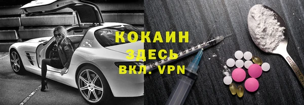 соль ск Новодвинск