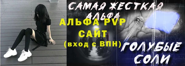 стаф Новозыбков