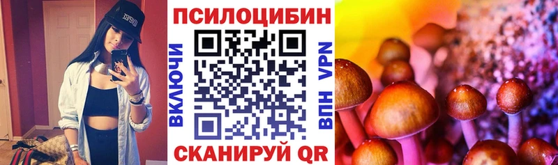 где найти   Чусовой  Галлюциногенные грибы мухоморы 