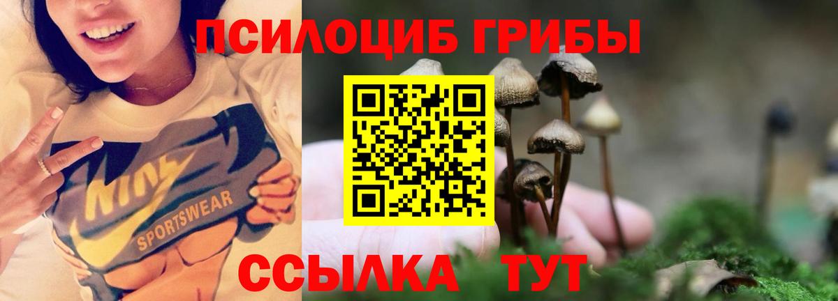 Чусовой  Галлюциногенные грибы Cubensis  Псилоцибиновые грибы Psilocybe  Вход с VPN 